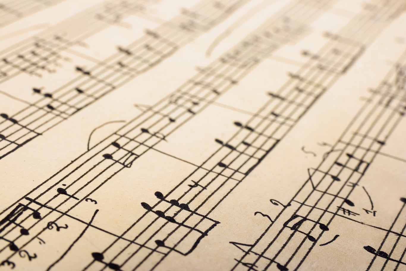 Double Reeds | Légère Reeds