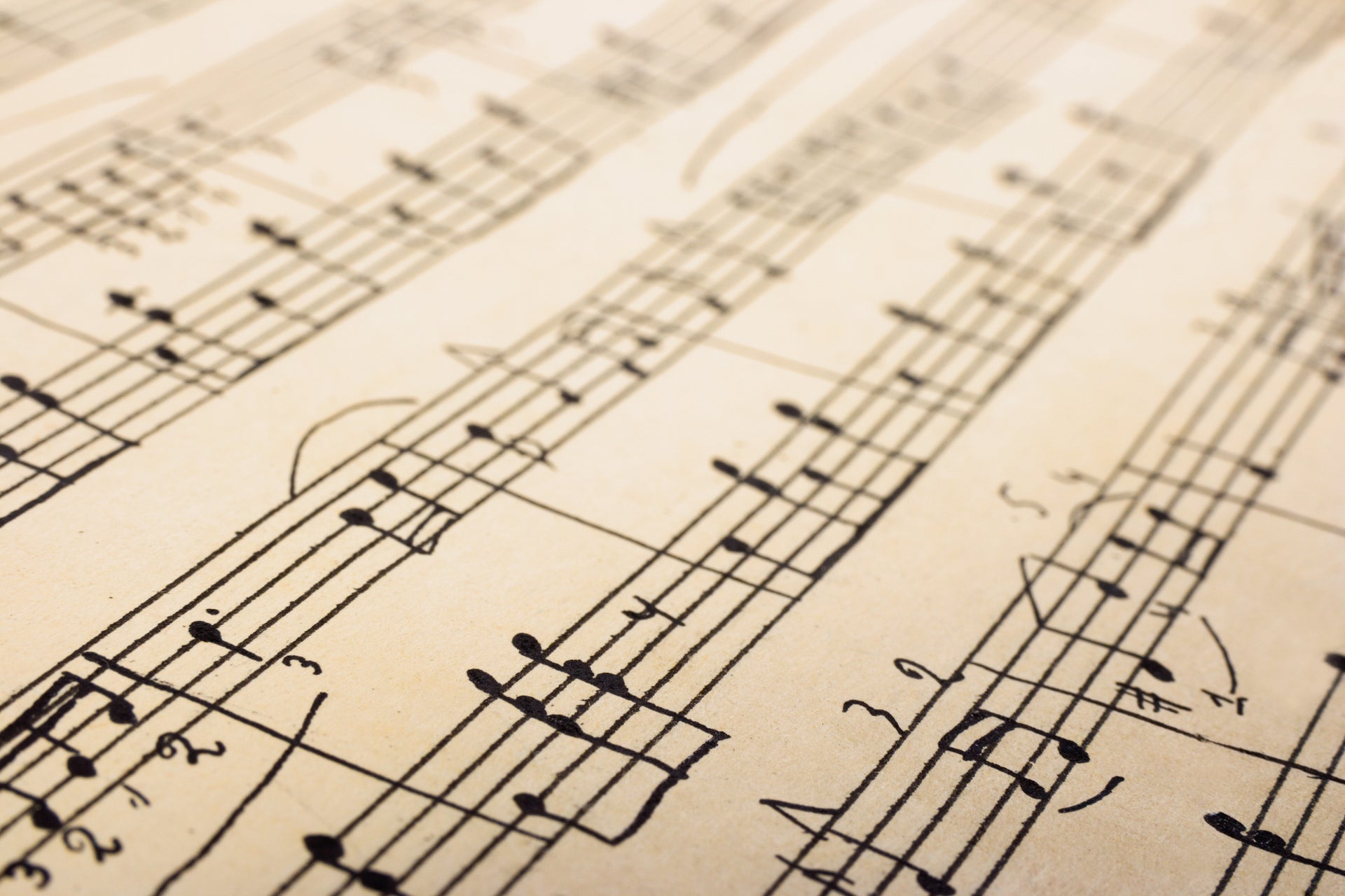 Double Reeds | Légère Reeds